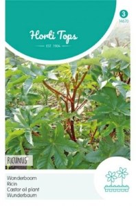 14670 ricinus_500x500